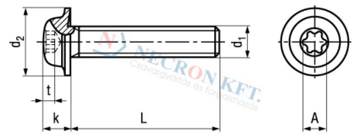 Domborúfejű csavar Torx kulcsnyílással ECO-FIX 10649