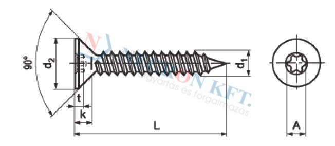 Süllyesztettfejű lemezcsavar TORX kulcsnyílással (NCN11255-ZN-0300)