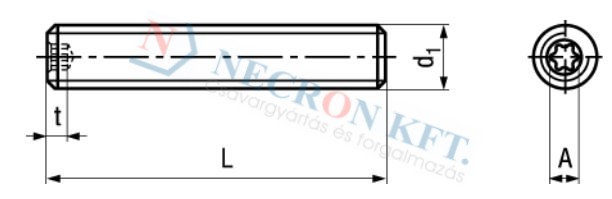 Bkny.laposvégű hernyócsavar TORX nyílással (DIN913-ZNTX-1100)