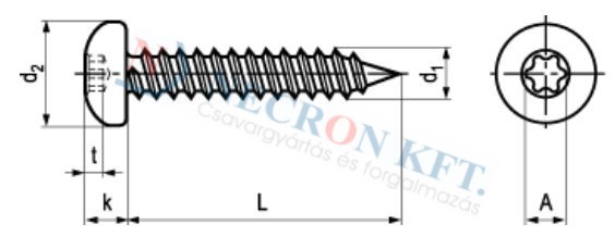 Domborúfejű lemezcsavar TORX behajtónyílással (NCN13274-ZN-0250)