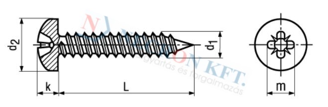 Domborúfejű lemezcsavar Pozidriv kereszthoronnyal (DIN7981C-A2-0100)