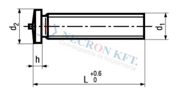 Hegeszthető menetes csap külső menettel (DIN32501-1R-0170)