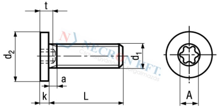 Laposfejű hengeresfejű TORX kulcsnyílású csavar (NCN9524-ZN0-0170)
